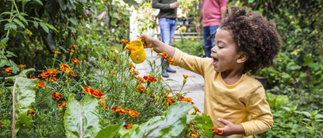 De kleine geeft de planten water